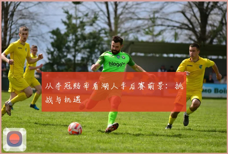 从夺冠赔率看湖人季后赛前景:挑战与机遇