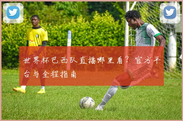 世界杯巴西队直播哪里看？官方平台与全程指南